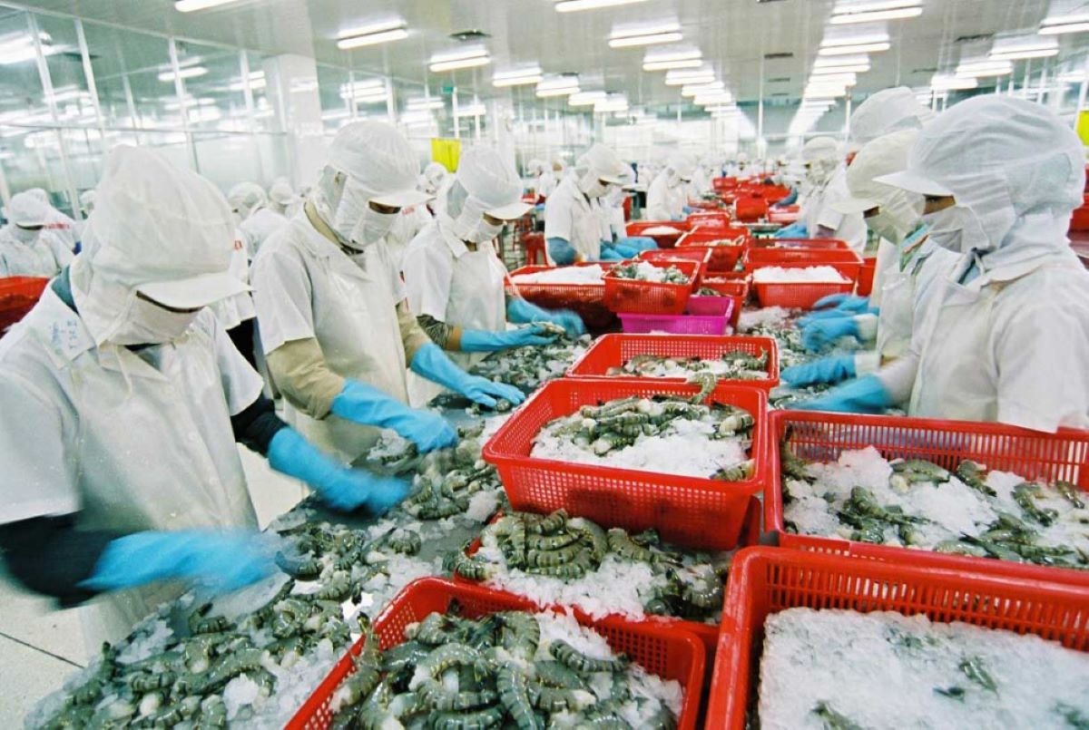Xuất khẩu thực phẩm Có chứng nhận vẫn chưa chắc giữ được đơn hàng