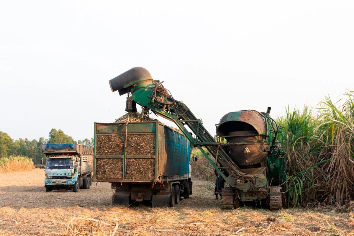 Giá đường thế giới áp sát đỉnh 17 tháng, kỳ vọng nguồn cung hỗ trợ đà tăng