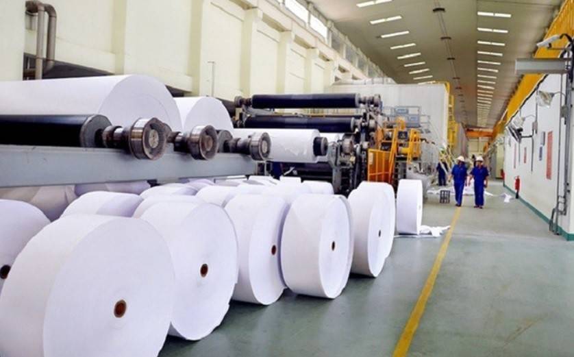 Gần 4.000 ha đất của Tập đoàn Tân Mai: Hơn 2.400 ha chưa đưa vào sử dụng