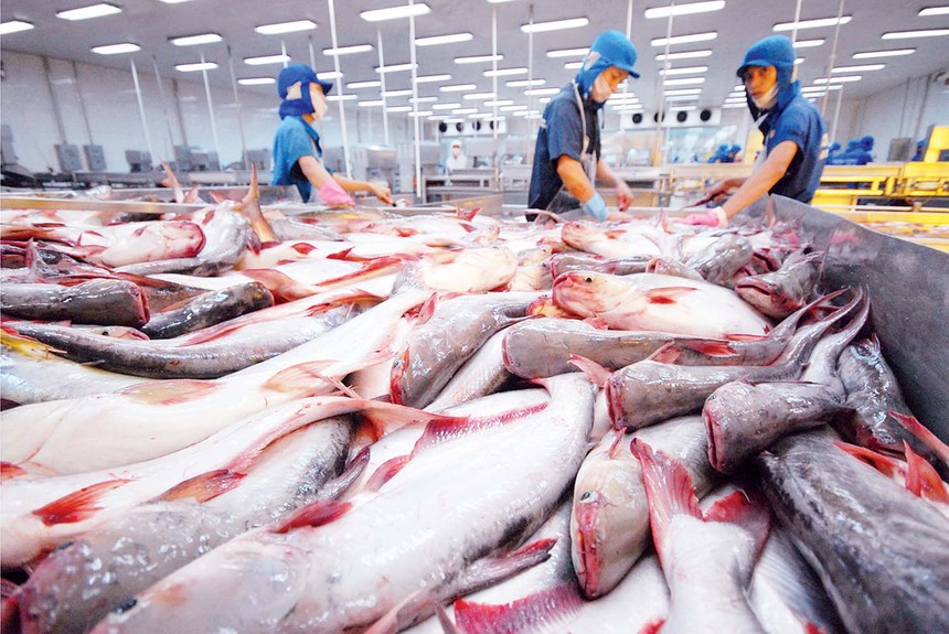 Thêm cơ hội cho thủy sản Việt Nam tại Nhật Bản