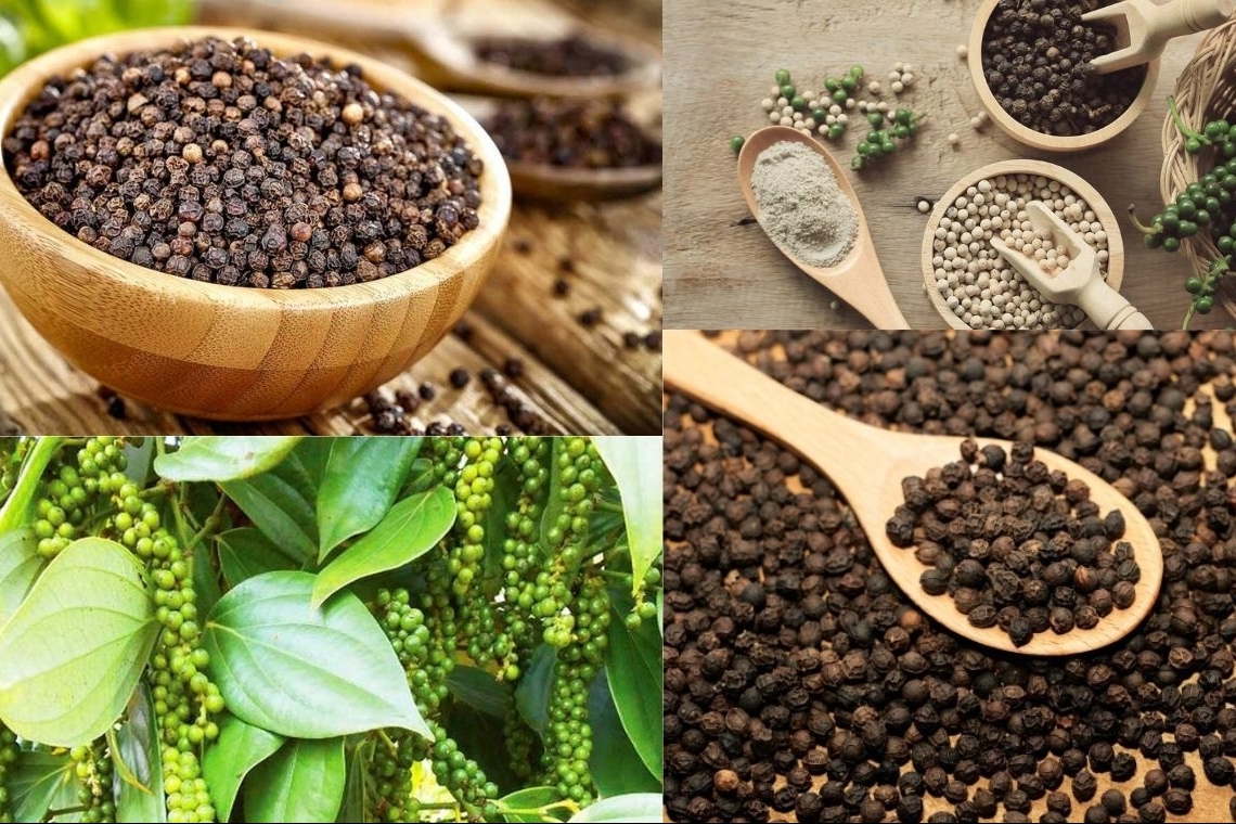 Hồ tiêu vượt 1,3 tỷ USD xuất khẩu, Mỹ và Trung Quốc tiếp tục kéo tăng trưởng