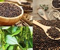 Hồ tiêu vượt 1,3 tỷ USD xuất khẩu Mỹ và Trung Quốc tiếp tục kéo tăng trưởng 
