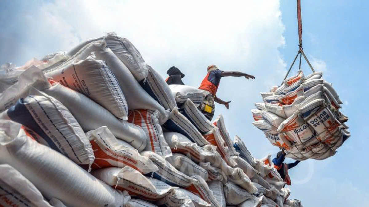 Xuất khẩu phân bón 8 tháng tăng mạnh, thị trường mở rộng, nhập khẩu giảm sâu