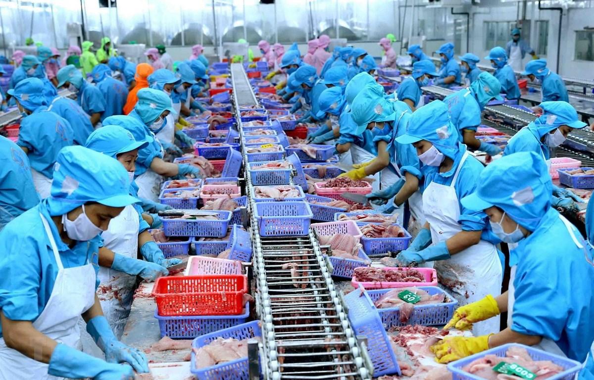 Xuất khẩu thủy sản tiến sát mốc 12 tỷ USD, nhiều điểm nghẽn cần tháo gỡ