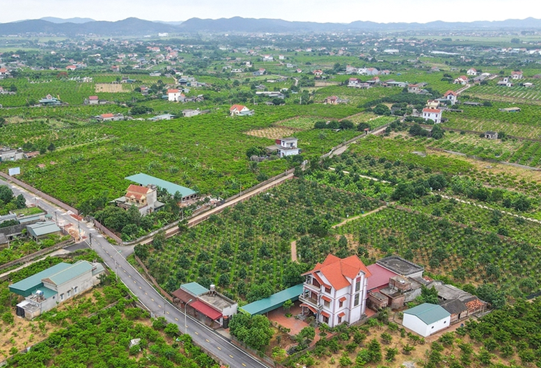 Tây Ninh: Tăng trưởng GRDP 10,3%, đặt mục tiêu thu hút đầu tư và đẩy nhanh giải ngân