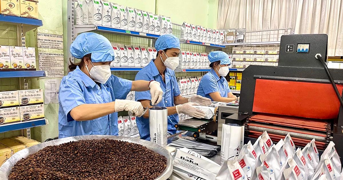 Robusta Việt Nam: Sản lượng dẫn đầu, thương hiệu vẫn chưa tương xứng