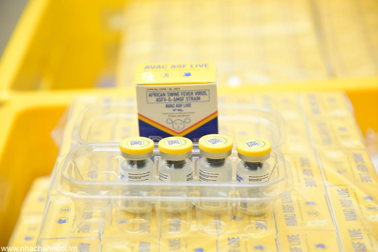 Hoàn tất đơn hàng Vaccine dịch tả lợn châu Phi Việt Nam vào thị trường Philippines