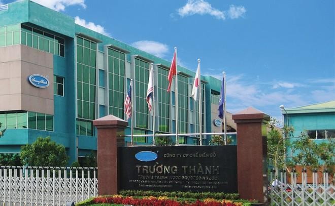 Gỗ Trường Thành (TTF) lỗ lũy kế hơn 3.530 tỷ đồng, công ty con chậm đóng gần 3 tỷ đồng bảo hiểm