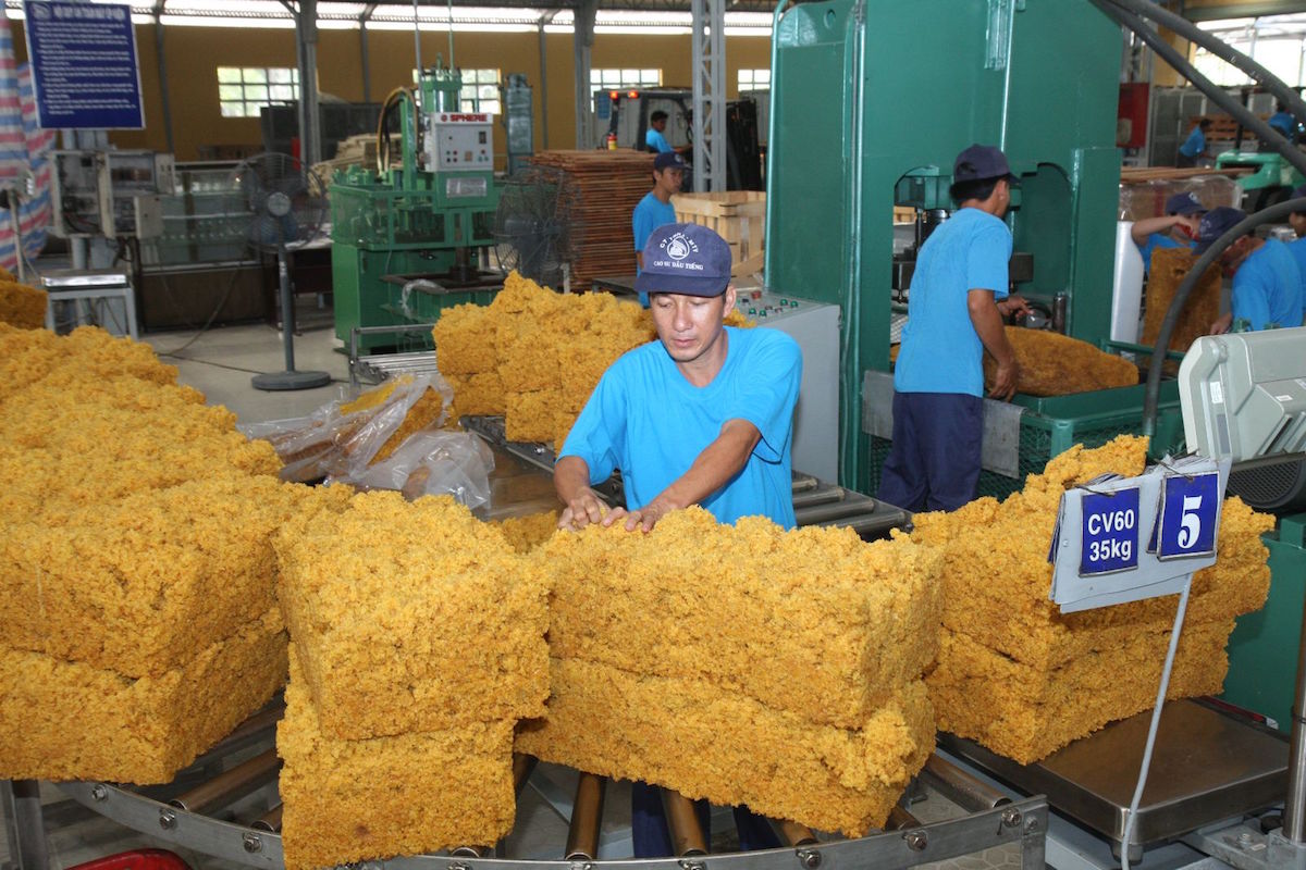 Cao su Việt Nam “chạm đỉnh” 13 năm, thị trường xuất khẩu còn tăng