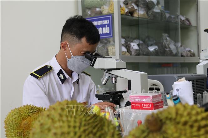 58 thông báo SPS trong nửa đầu tháng 10 Doanh nghiệp xuất khẩu cần lưu ý gì