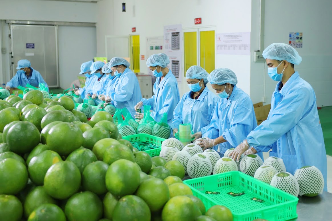 Nông sản Việt xuất khẩu giá trị cao, thị trường nội địa được hưởng lợi đến đâu?