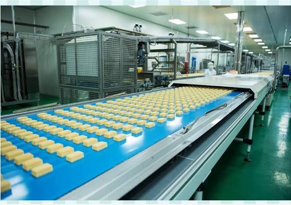 Thực phẩm Hữu Nghị (HNF): Lợi nhuận quý III giảm gần 49%, nợ vay gấp 8 lần tiền mặt