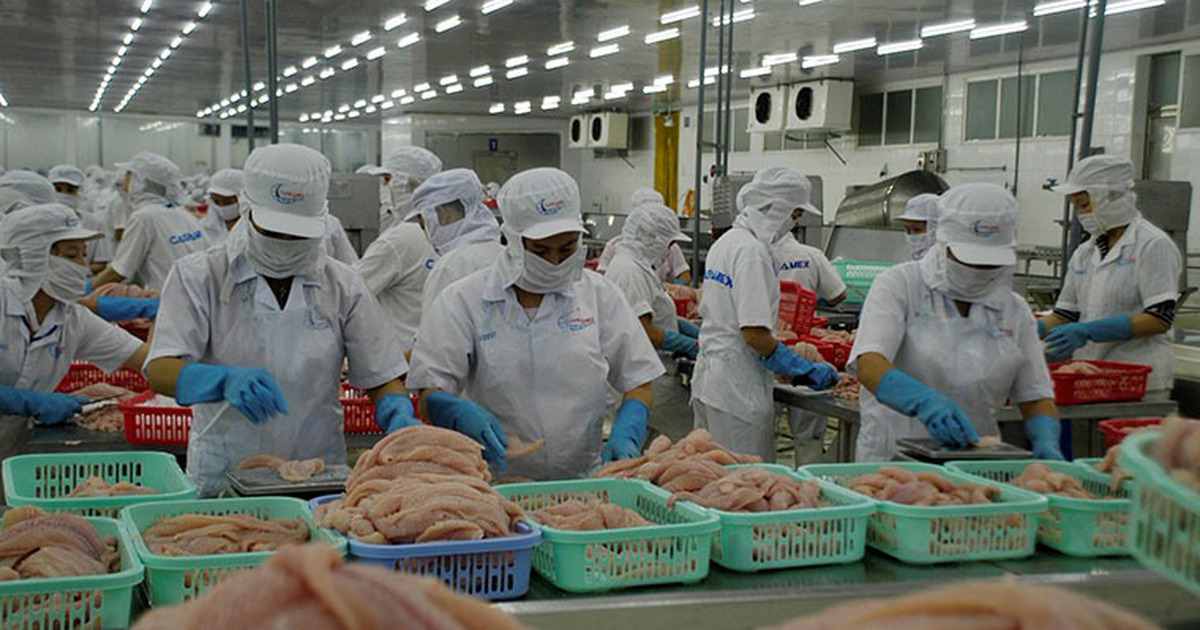 Hiệp định VEFTA: Cơ hội mới cho ngành thủy sản Việt Nam