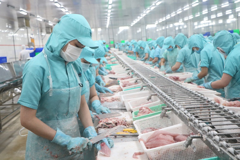 Xuất khẩu Đồng Tháp vượt 8,4 tỷ USD, rau quả tăng mạnh nhưng gạo sụt giảm