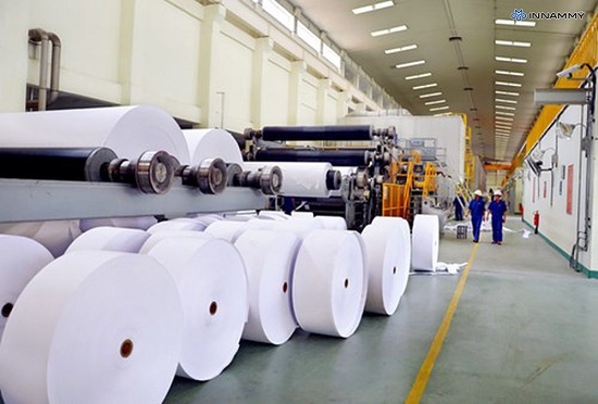 Ngành giấy bứt phá sản lượng nhờ chiến lược thích ứng linh hoạt