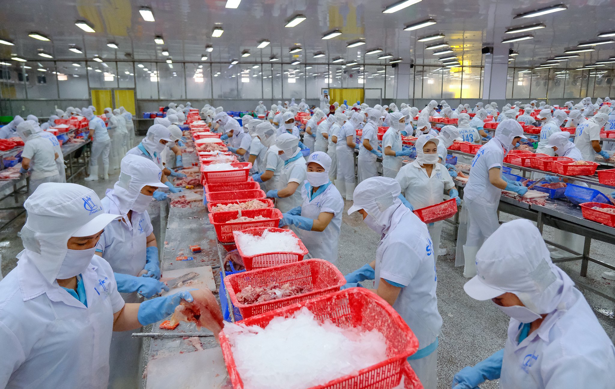 Thêm 23 doanh nghiệp được cấp phép xuất khẩu thuỷ sản sang Trung Quốc