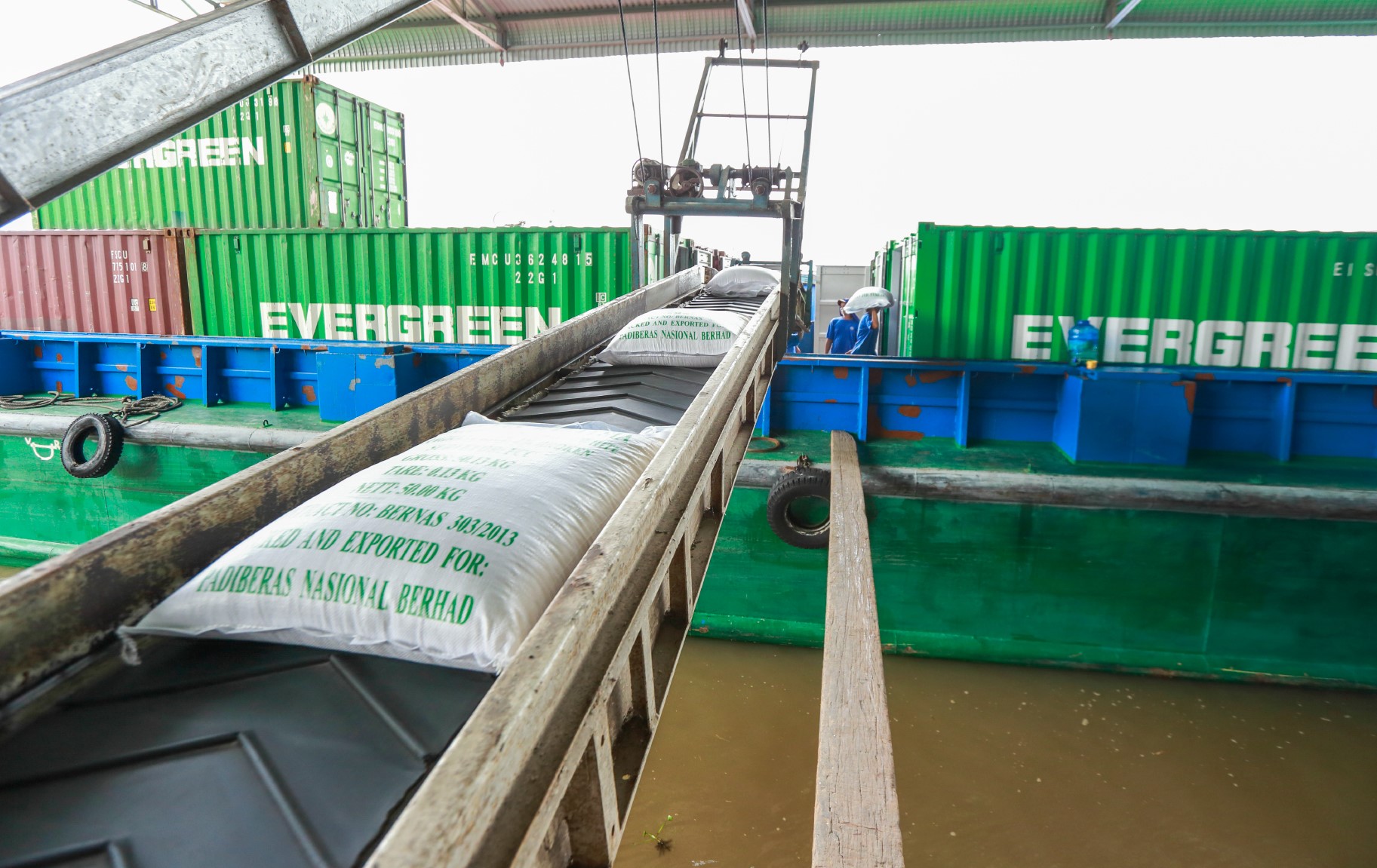 Giá gạo xuất khẩu Việt Nam cao nhất thế giới