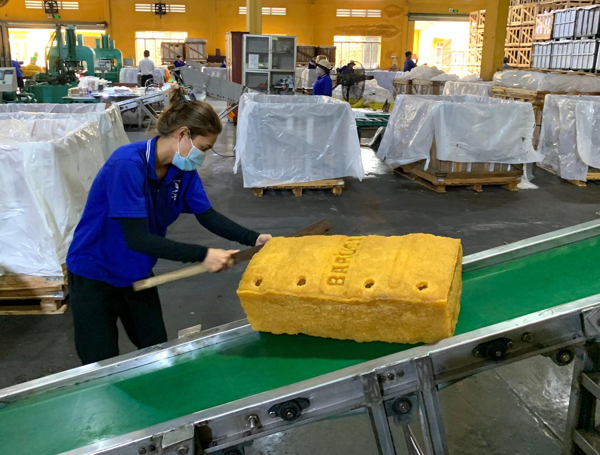 Xuất khẩu cao su của Việt Nam sang Hàn Quốc đạt 5,08 nghìn tấn