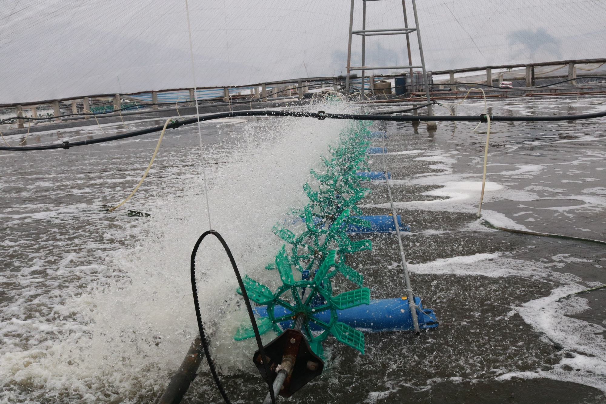 Vasep kiến nghị gói tín dụng 10.000 tỷ đồng lãi suất thấp