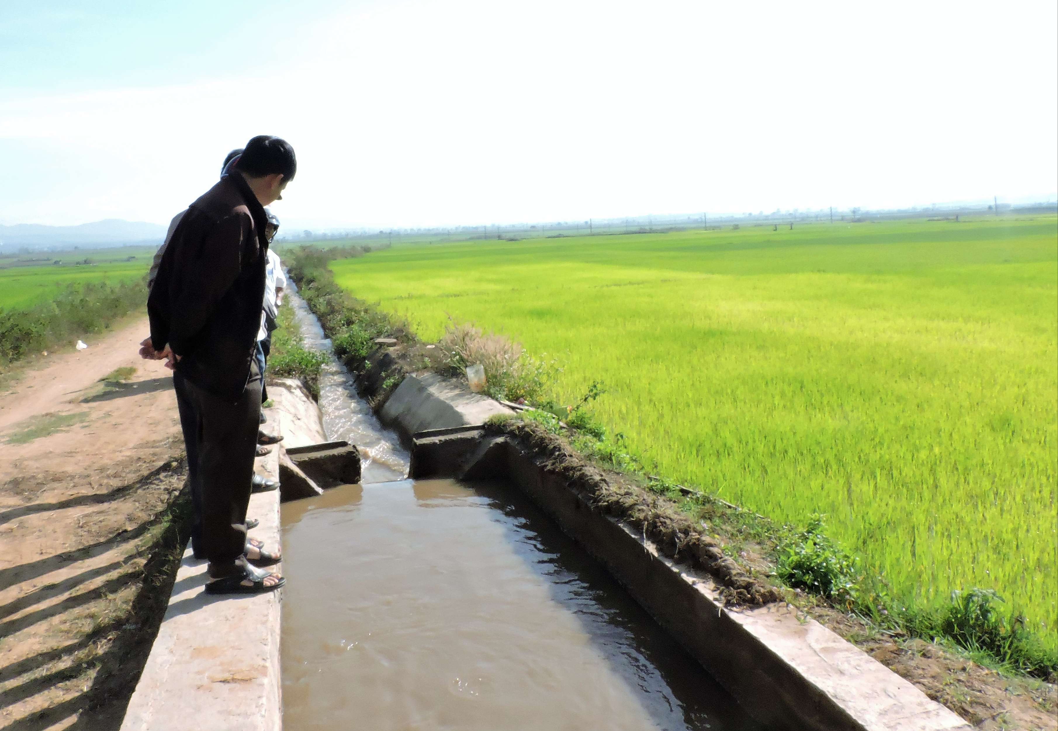 Hơn 1.100 ha sản xuất nông nghiệp ở miền Bắc có nguy cơ gặp hạn