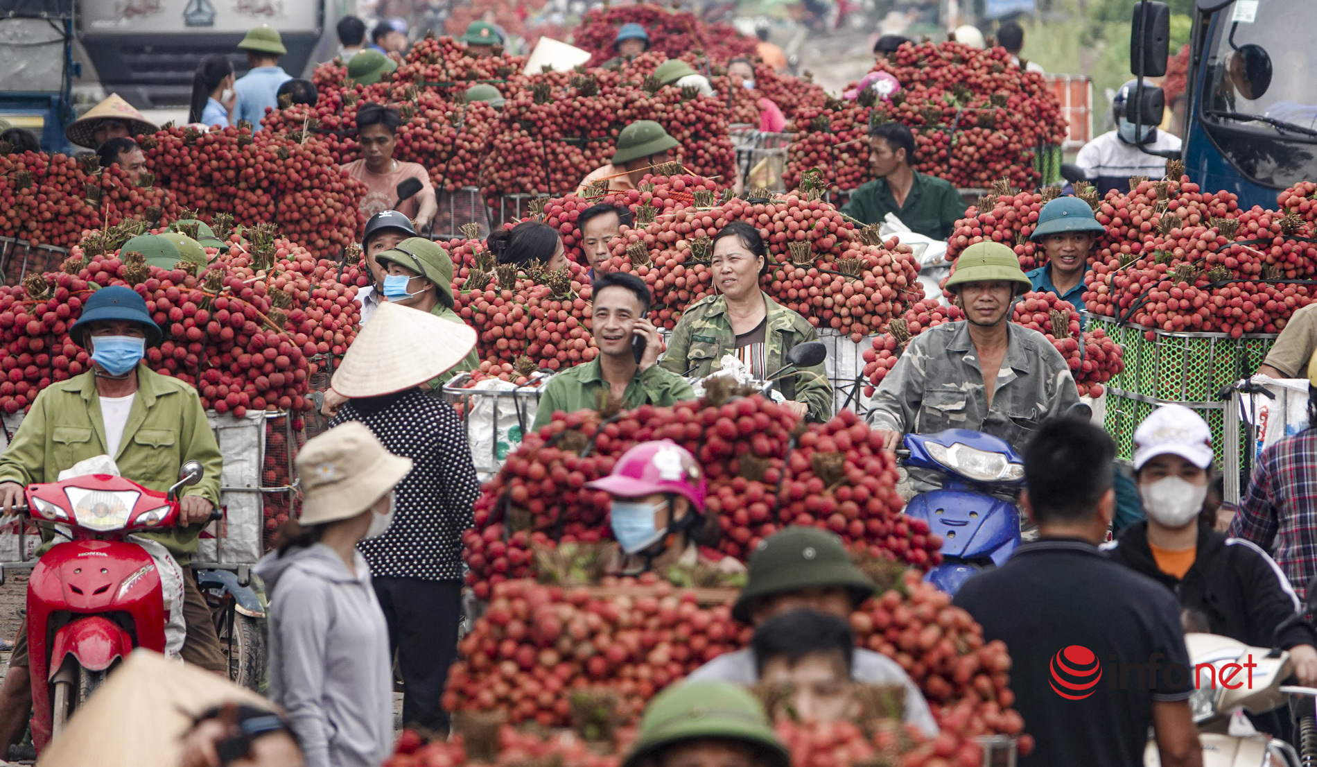 Cấp thêm 12 mã số vùng trồng cho vải thiều Bắc Giang