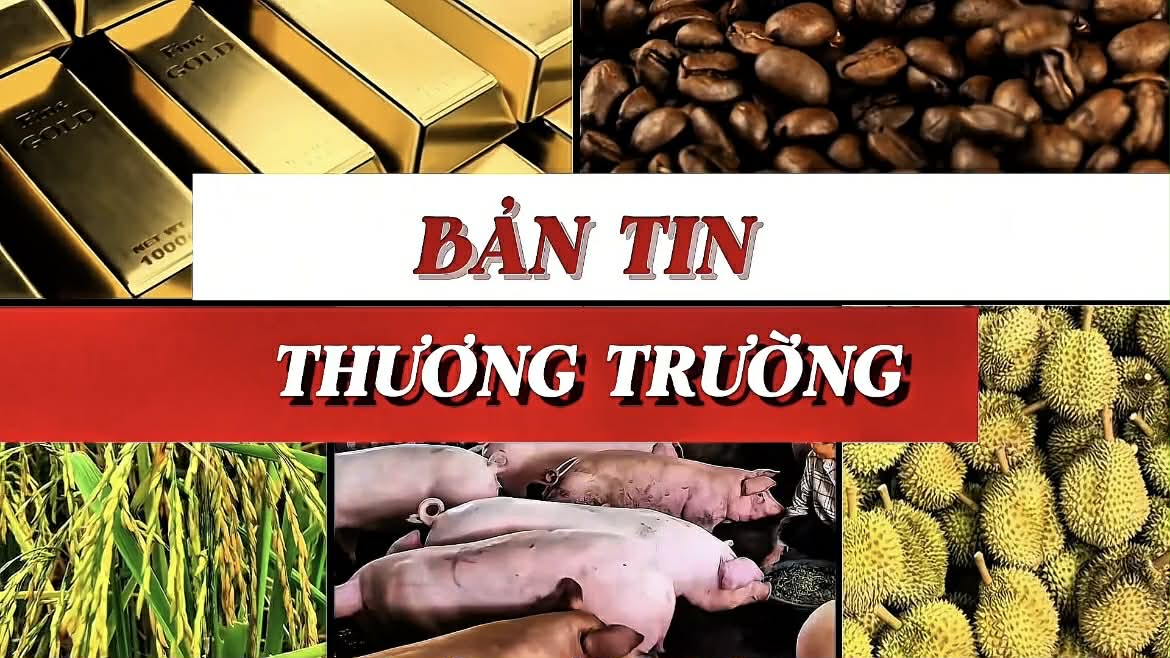 Bản tin Thương Trường ngày 261 Vàng – bạc lập đỉnh, heo hơi và cà phê nóng lên cận Tết